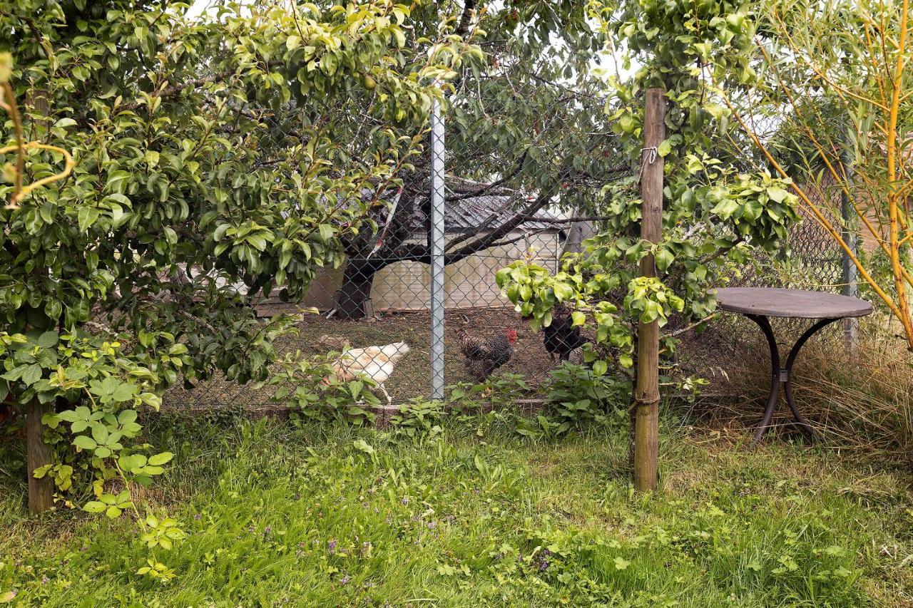 Zum Haselbach Appartement Weilheim Buitenkant foto