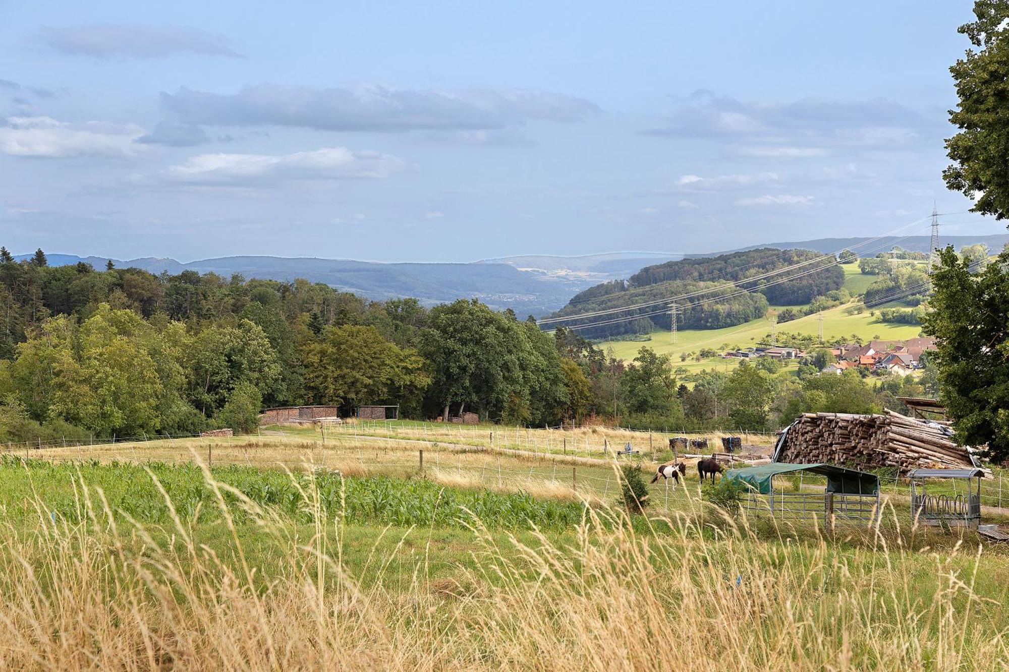 Zum Haselbach Appartement Weilheim Buitenkant foto